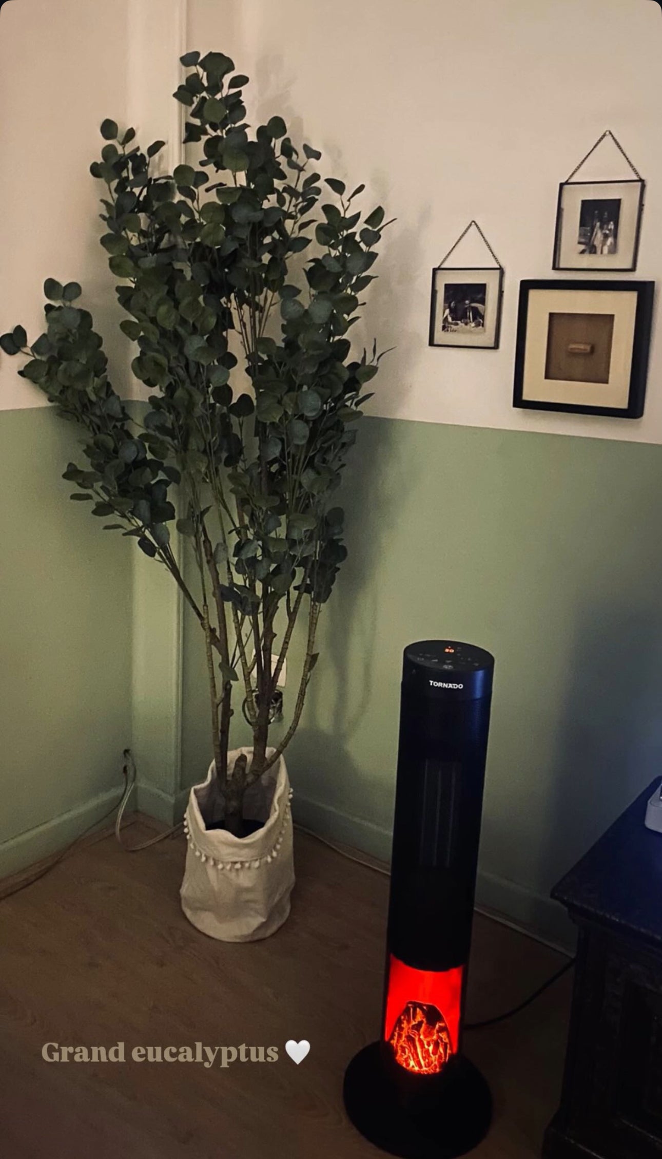 Eucalyptus | 180 cm | Refreshing Green | Without pot