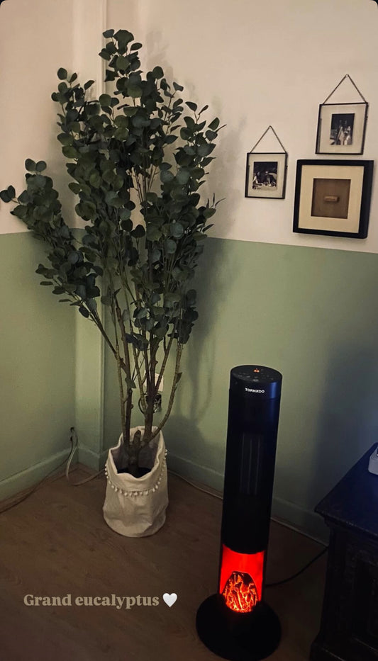 Eucalyptus | 180 cm | Refreshing Green | Without pot