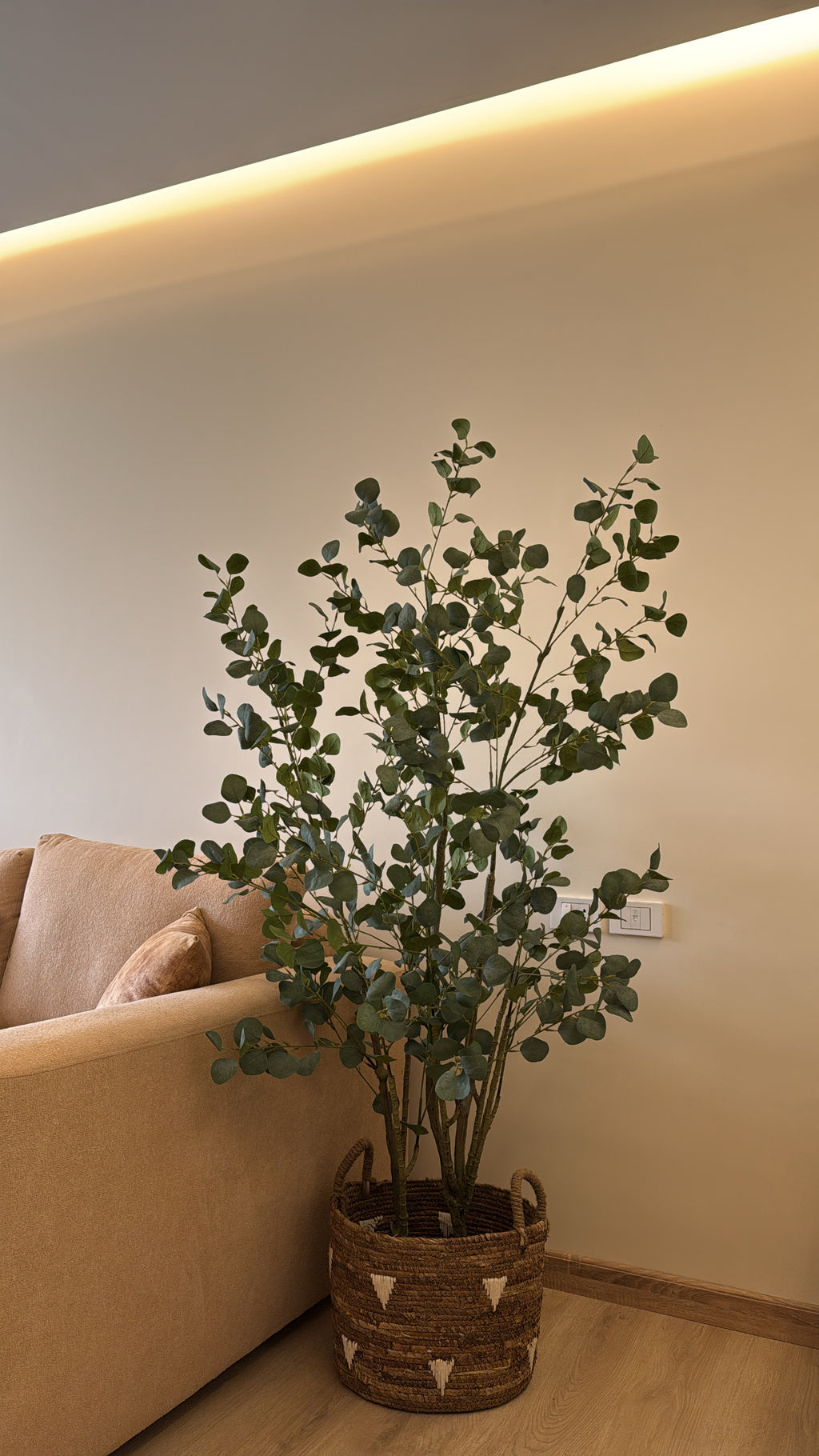 Eucalyptus | 180 cm | Refreshing Green | Without pot