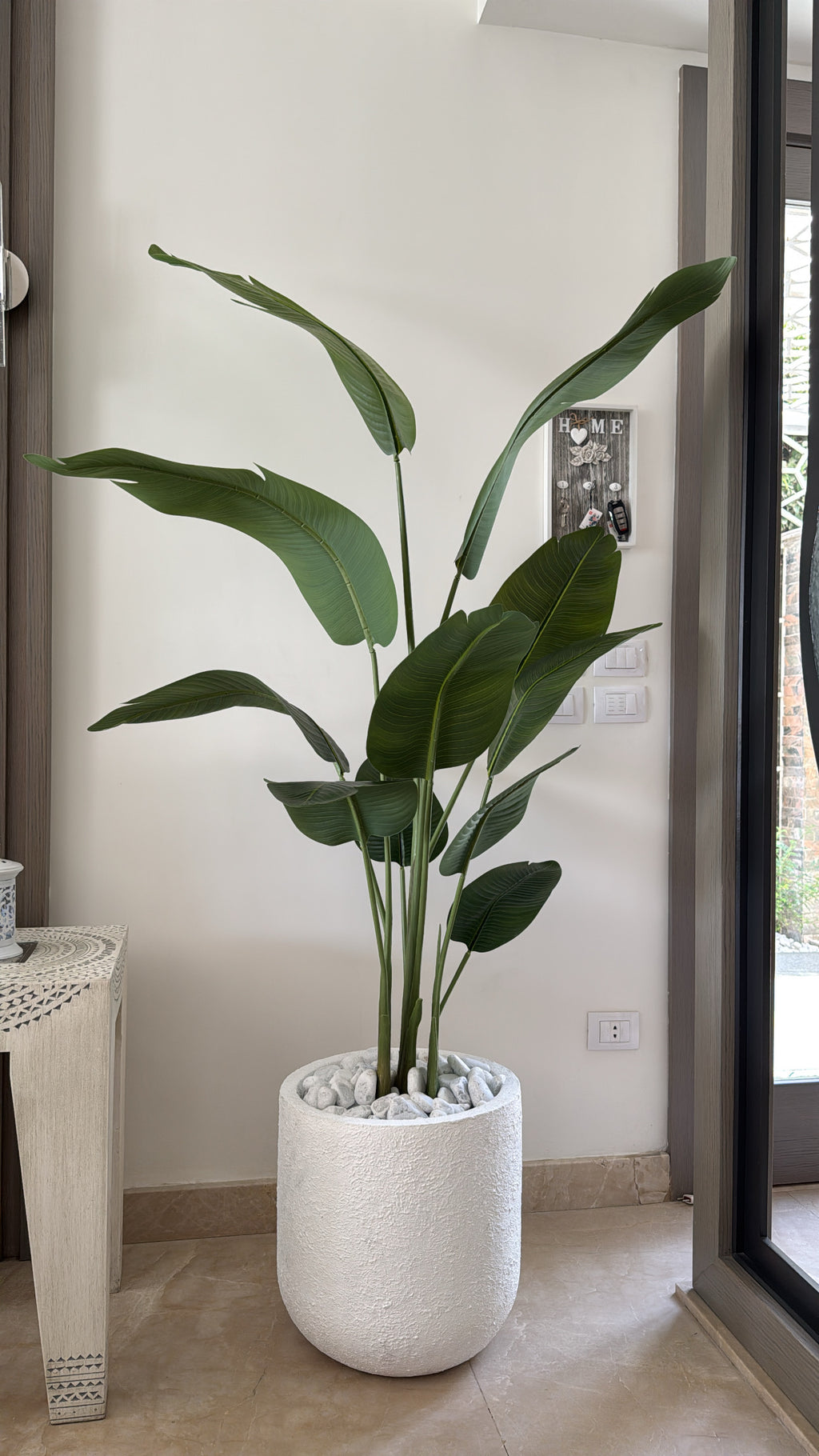 Exquisite Banana Tree | 200 cm | Lush Greenery | Without pot