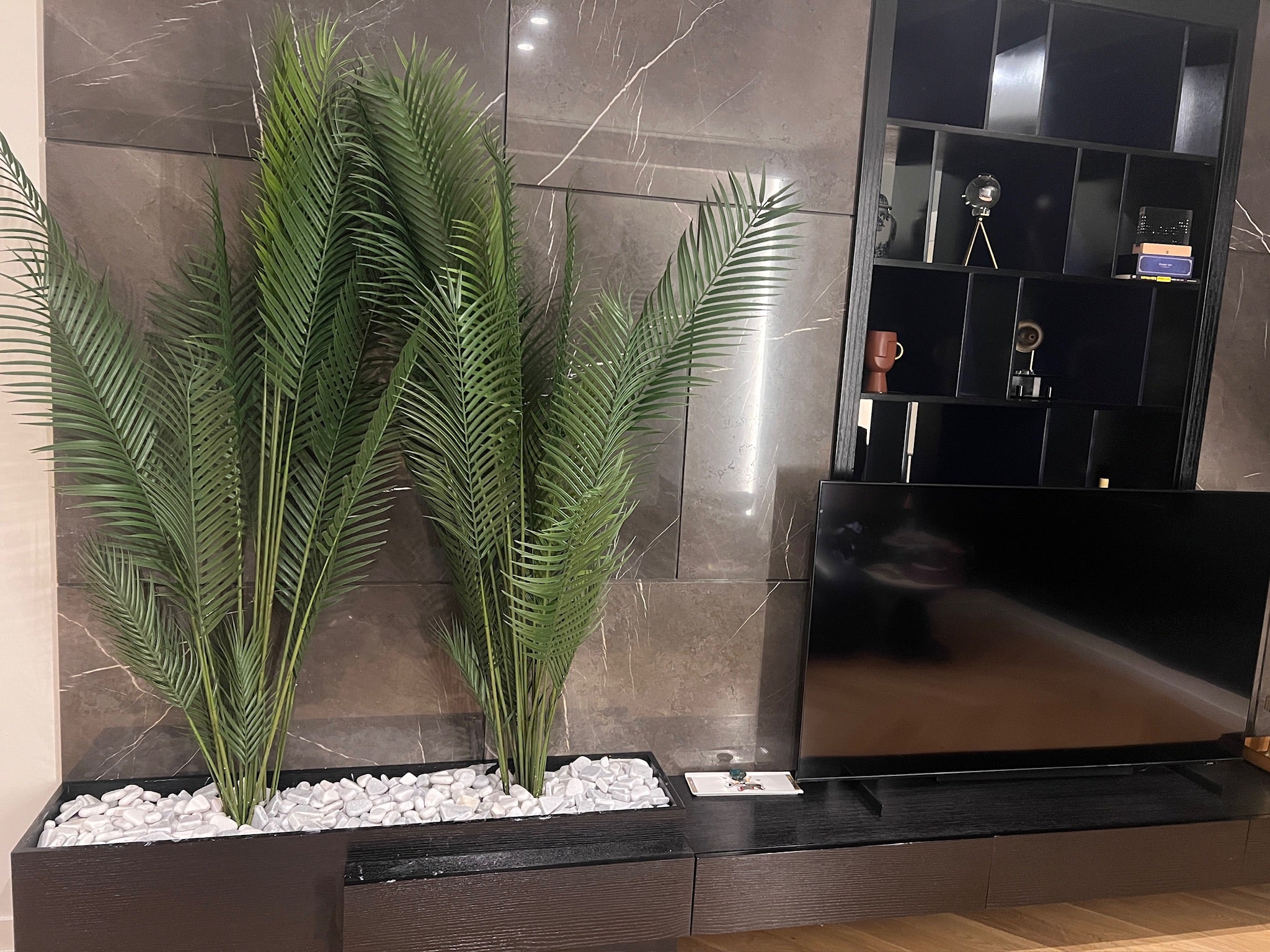 Charming Chamdoria | 180 cm | Without pot