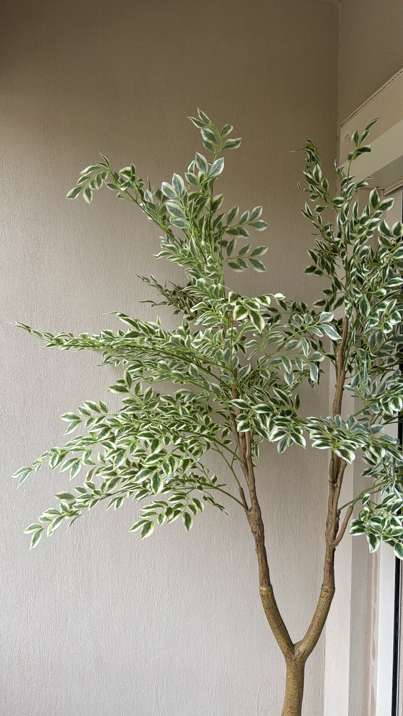 Weeping Tree | 210 cm | Verdant Green | Without pot