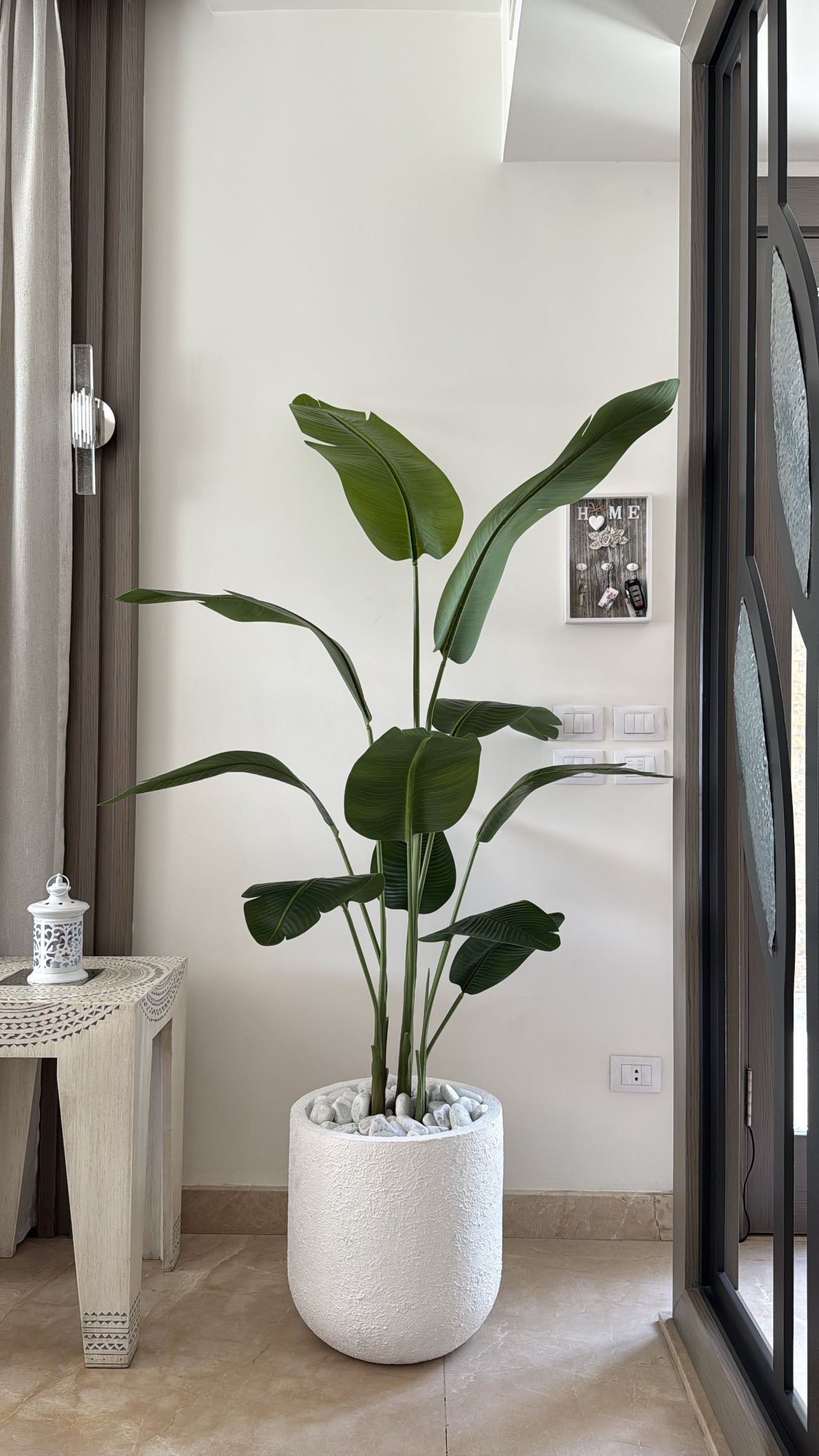 Exquisite Banana Tree | 200 cm | Lush Greenery | Without pot