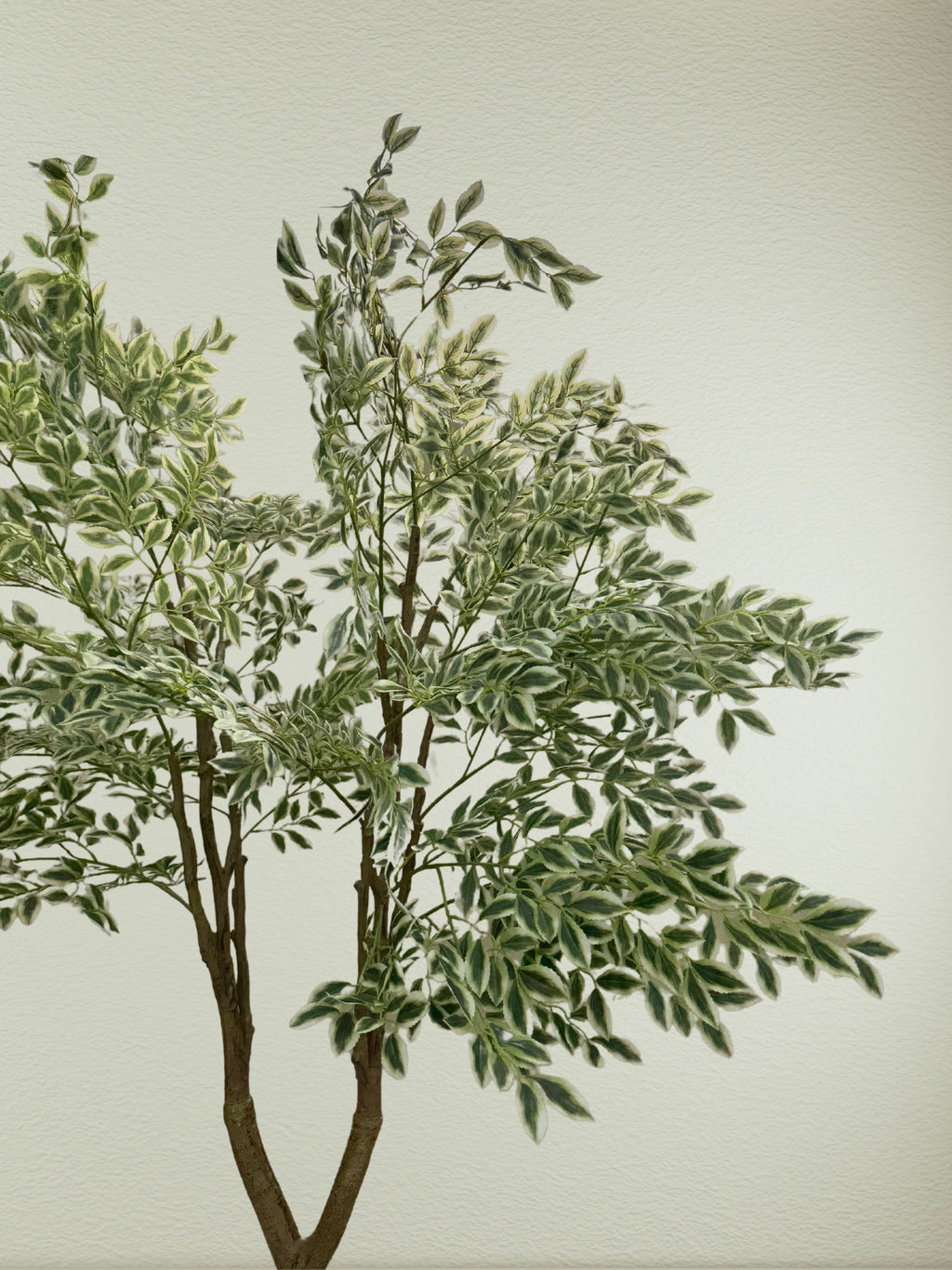 Weeping Tree | 210 cm | Verdant Green | Without pot