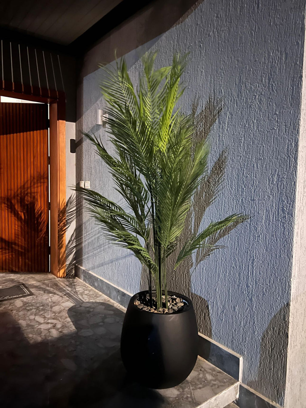 Areca Palm | 180 cm | Tropical Splendor | Without pot