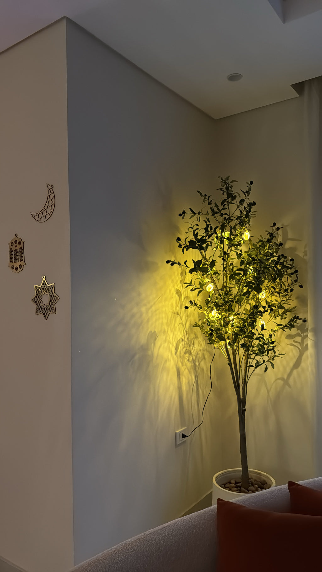 Timeless Olive Tree | 200 cm | Refined Beauty | Without pot