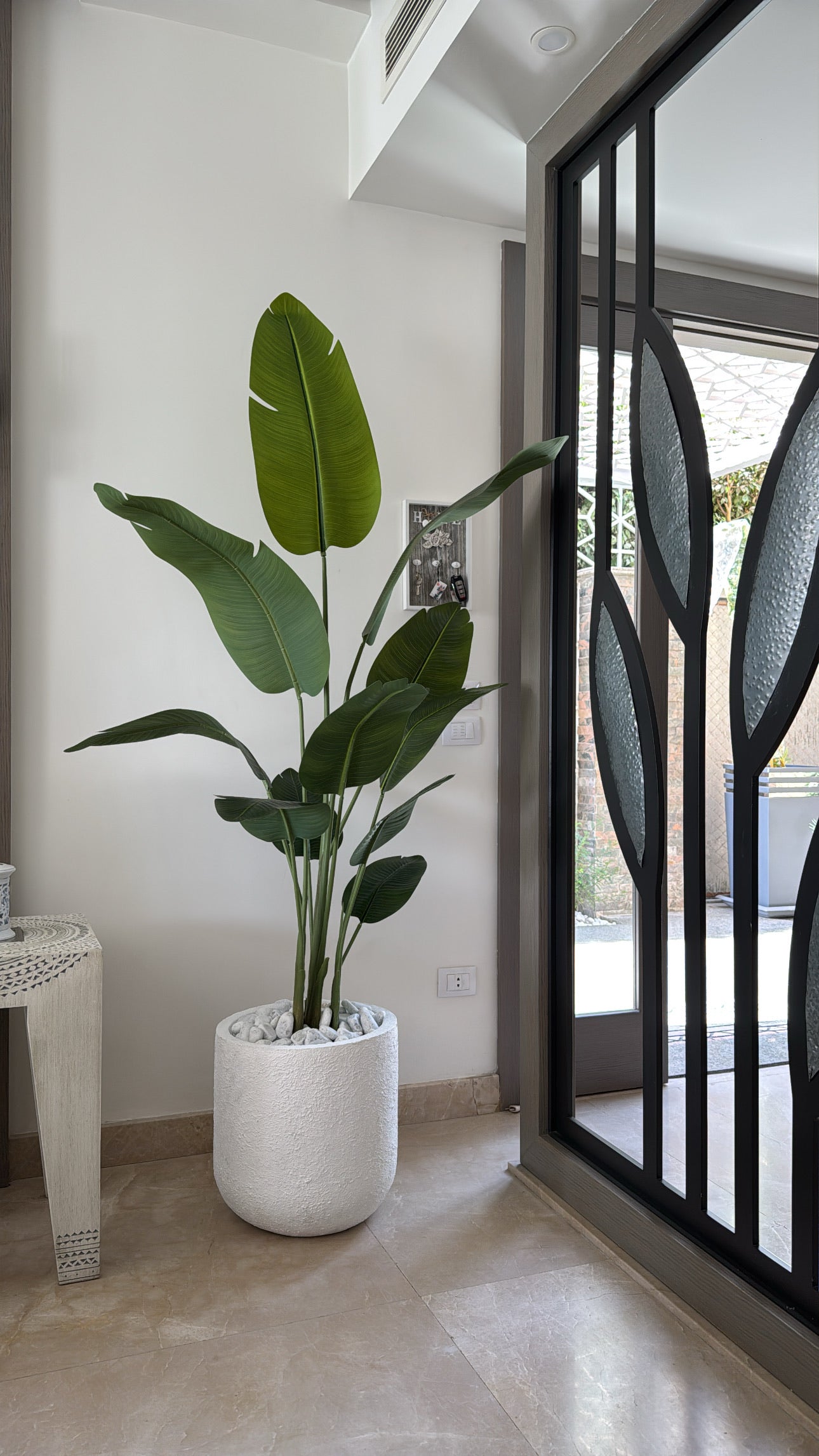 Exquisite Banana Tree | 200 cm | Lush Greenery | Without pot
