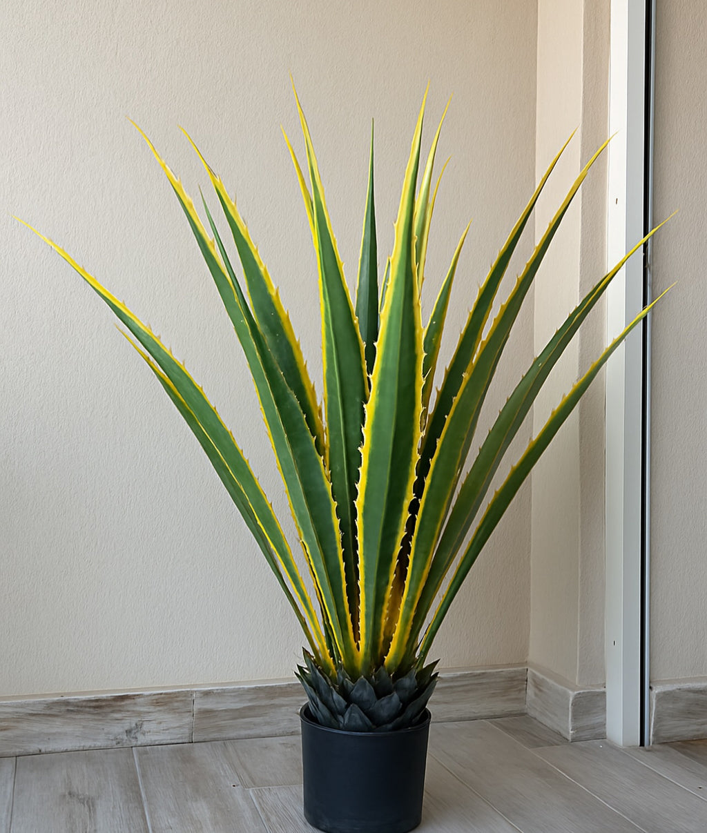 Unique Cactus | Pineapple Shape | Distinctive Design | Without pot