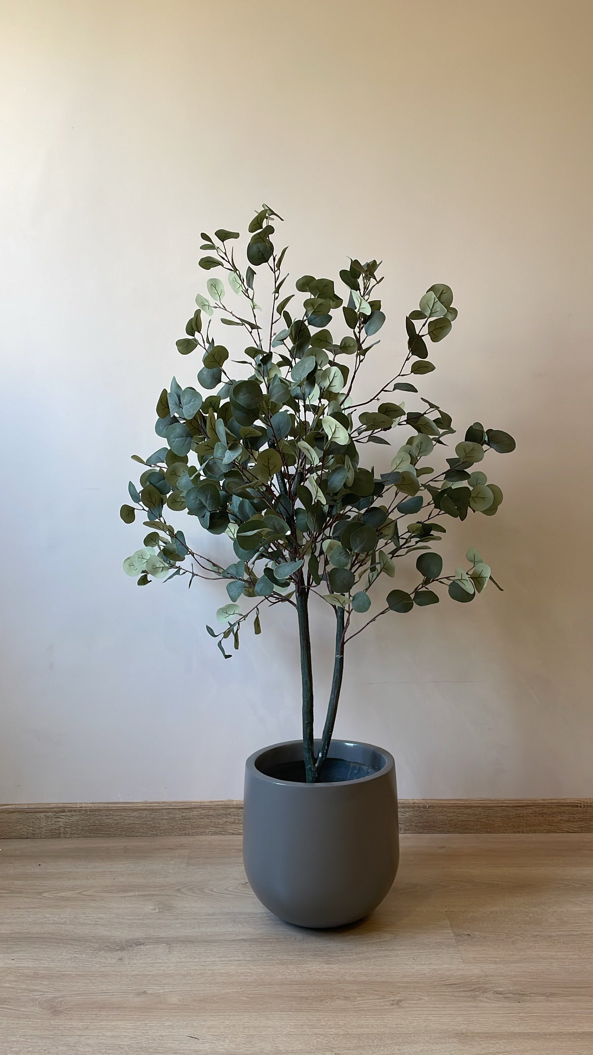 Eucalyptus | 150 cm | Refreshing Green | Without pot