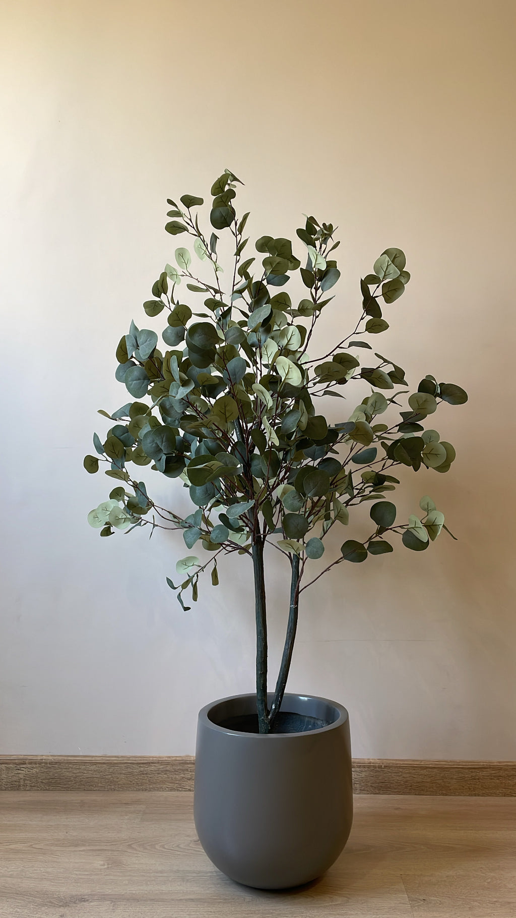 Eucalyptus | 150 cm | Refreshing Green | Without pot