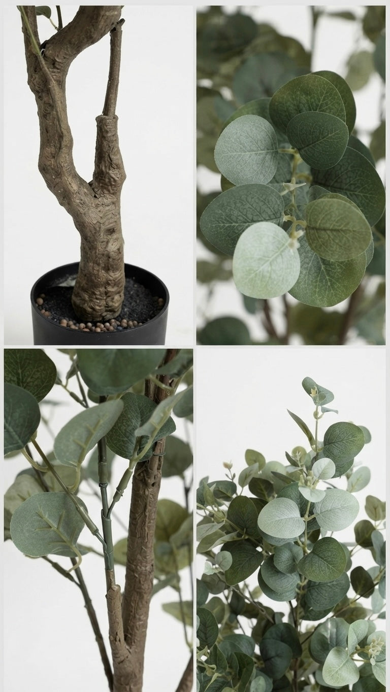 EUCALYPTUS TREE | WITHOUT POT