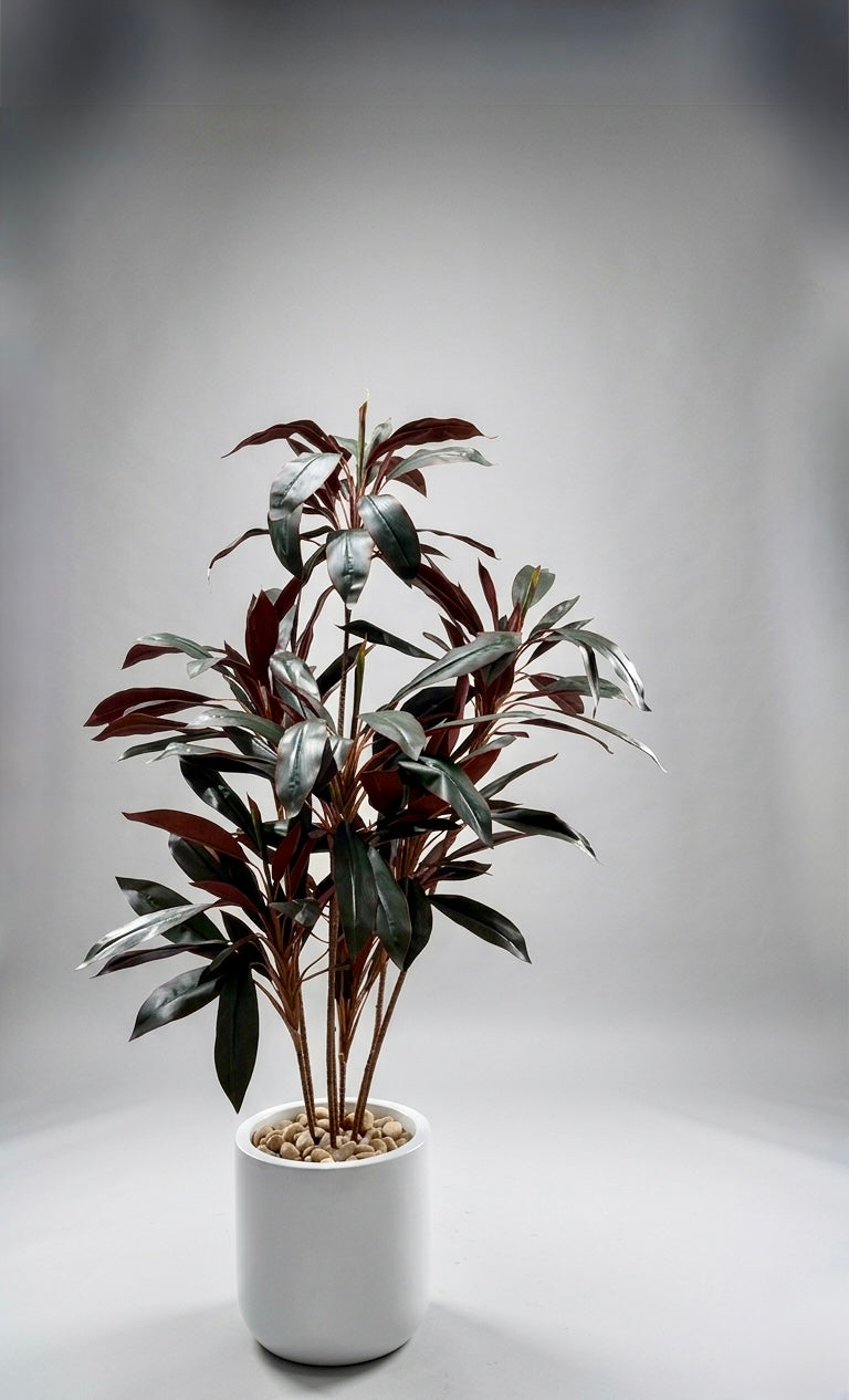 Redbag tree | 200 cm | Luxuriant | Without pot