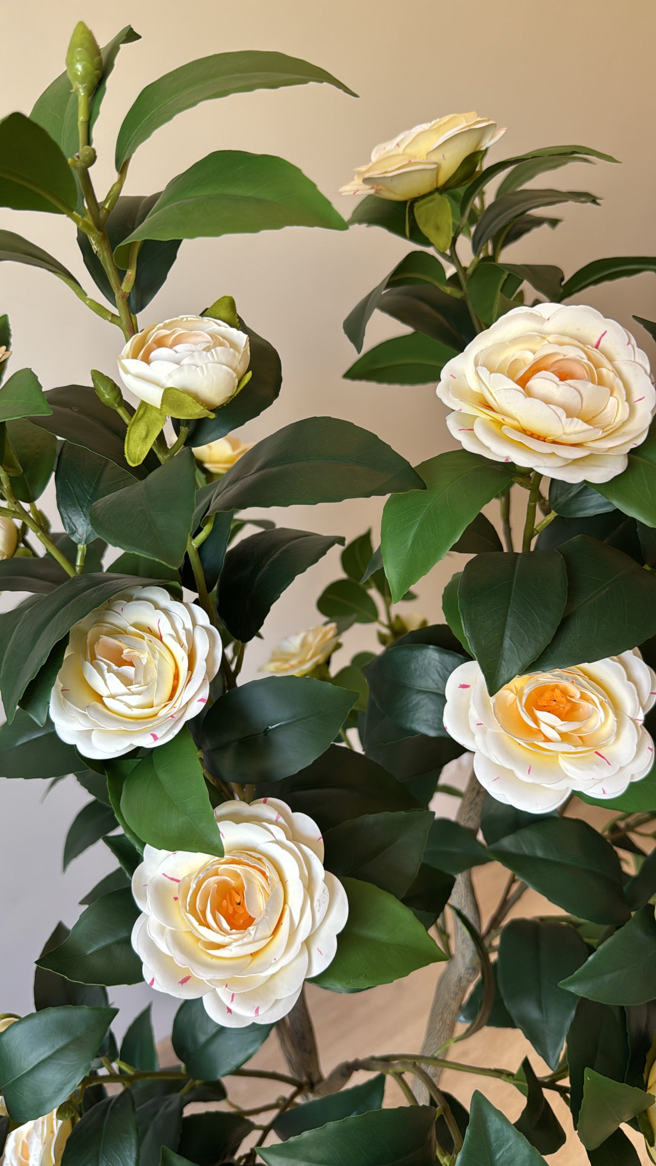 Camellia | 180 CM | Without pot