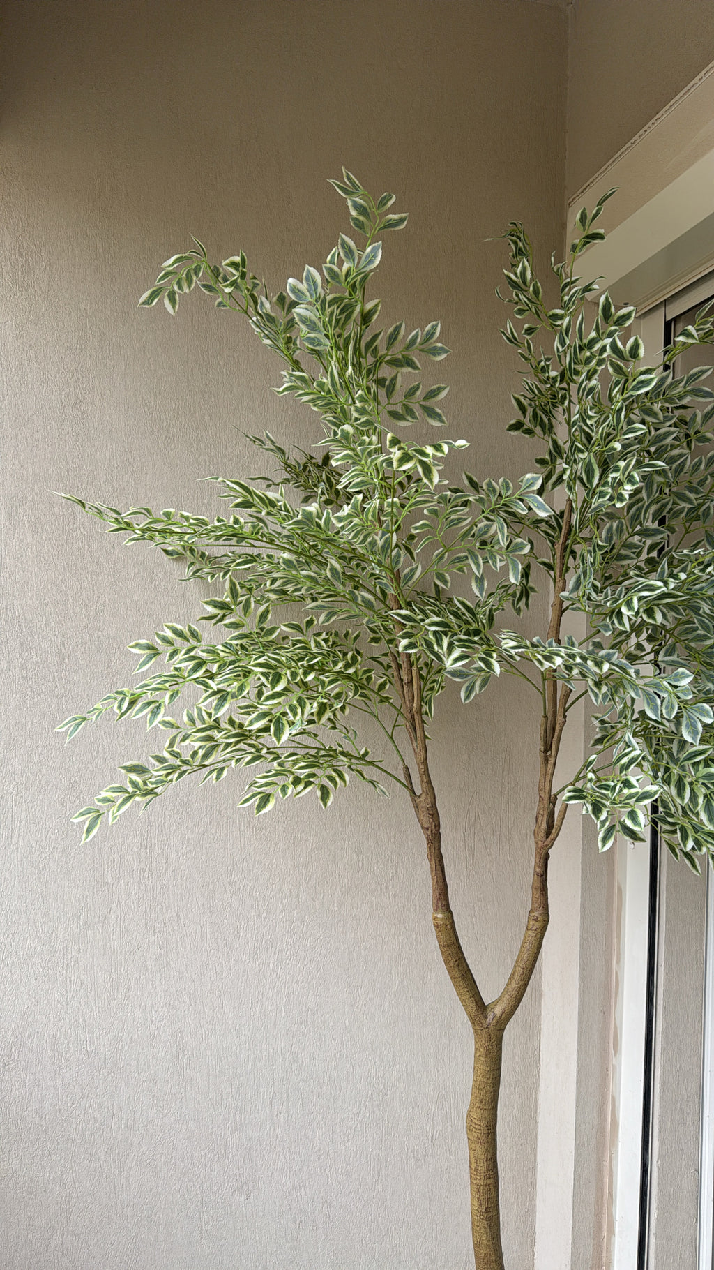 Weeping Tree | 210 cm | Verdant Green | Without pot