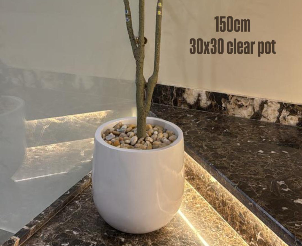 Luxurious Handcrafted Pot | 30x30 cm | Pristine White | Matte Finish