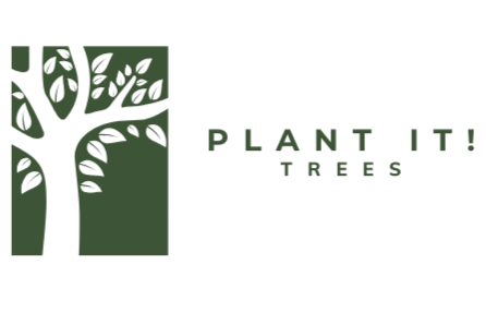 Plant It!