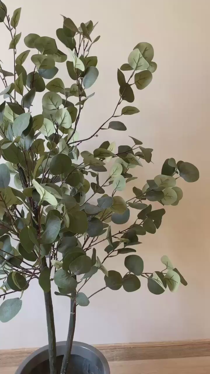 Eucalyptus | 150 cm | Refreshing Green | Without pot