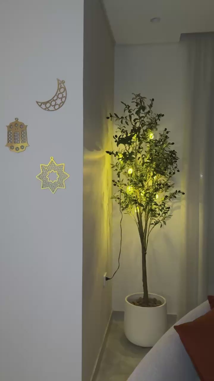 Timeless Olive Tree | 200 cm | Refined Beauty | Without pot