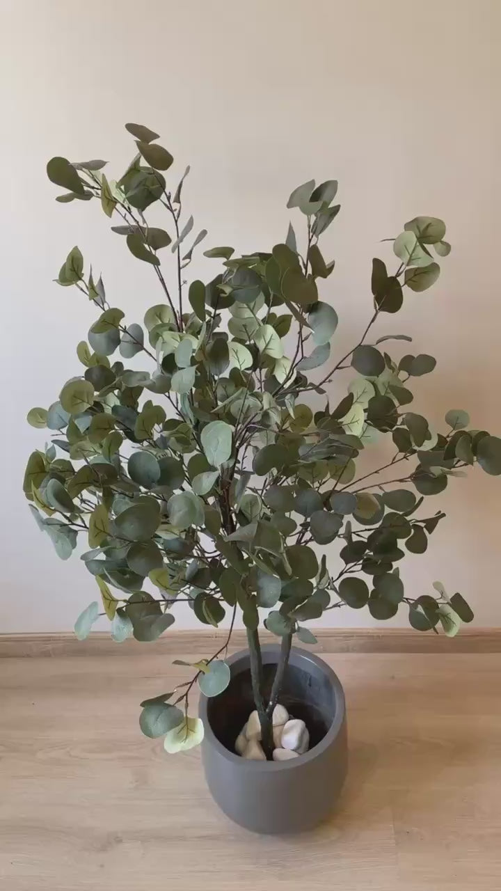 Eucalyptus | 150 cm | Refreshing Green | Without pot