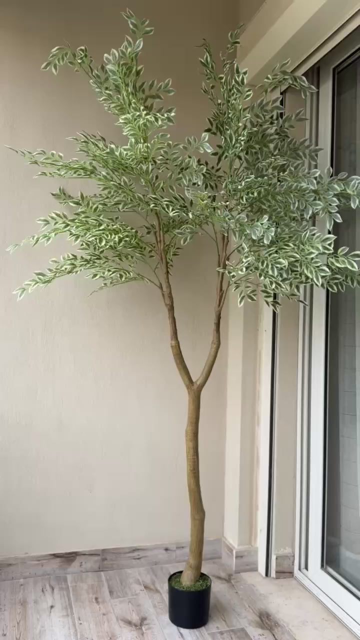 Weeping Tree | 210 cm | Verdant Green | Without pot