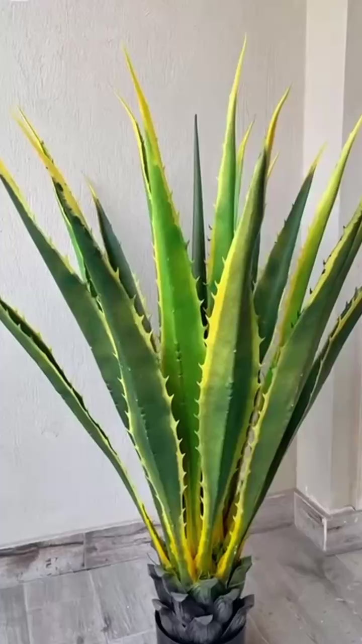 Unique Cactus | Pineapple Shape | Distinctive Design | Without pot