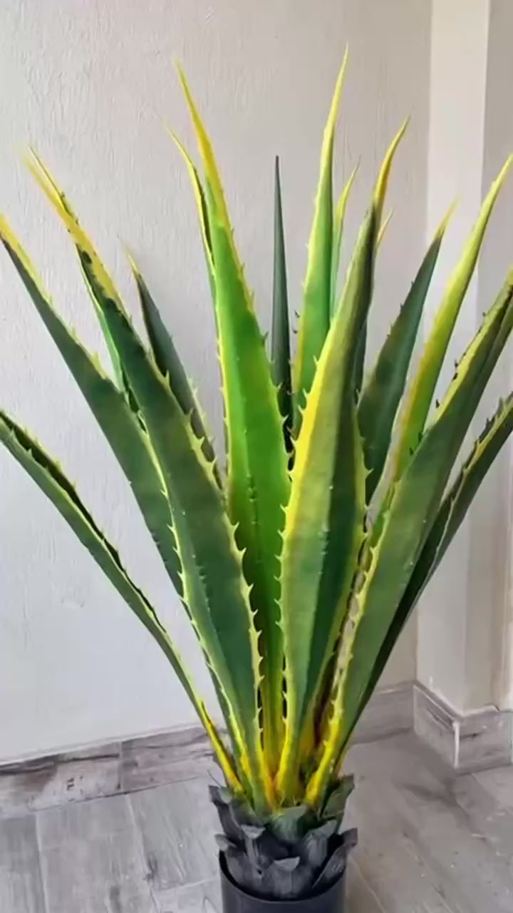 Unique Cactus | Pineapple Shape | Distinctive Design | Without pot