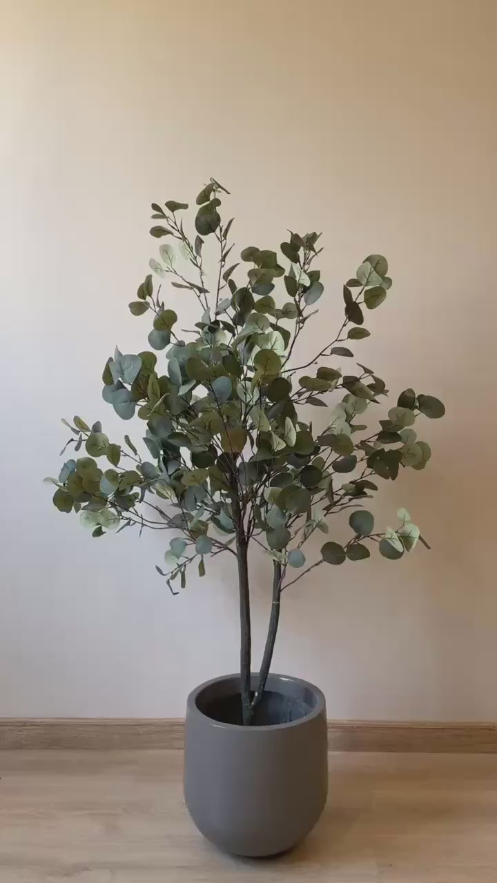 Eucalyptus | 150 cm | Refreshing Green | Without pot