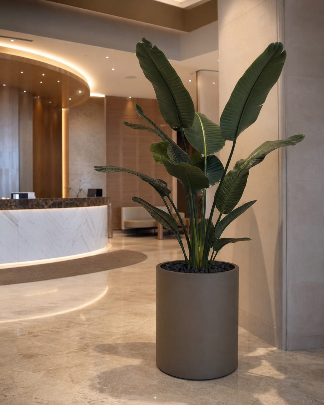 Hotels & Offices