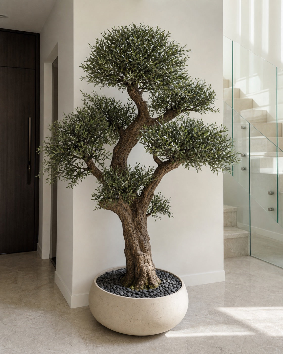 Olive & Bonsai Builds